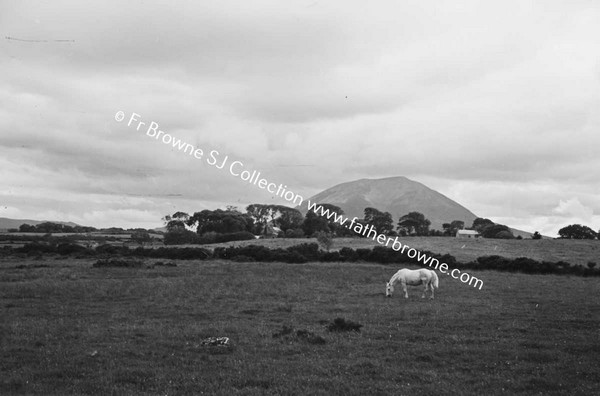 NEPHIN VIEWS PASTORAL SCENE WITH WOMAN DOG AND GATEWAY